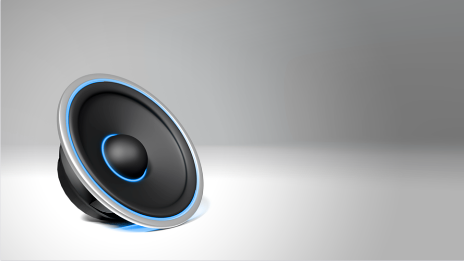 an image of a woofer